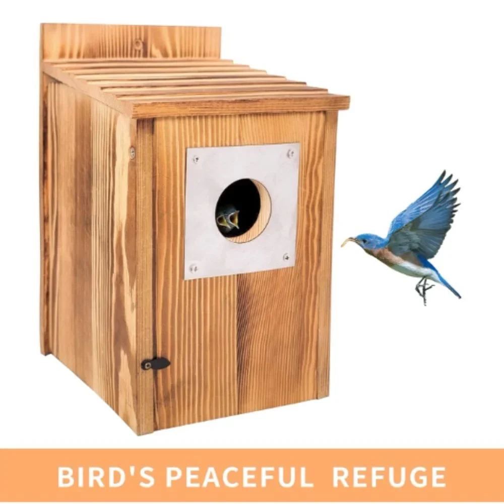 Pine Wood Birdhouse w/ Metal Predator Guard & Cleaning Door